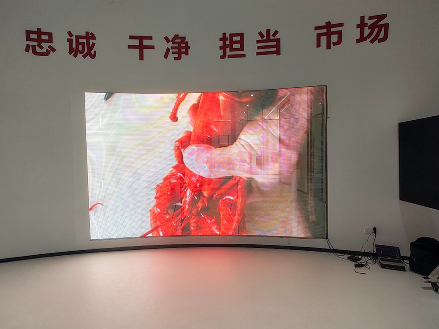 室内弧形LED显示屏